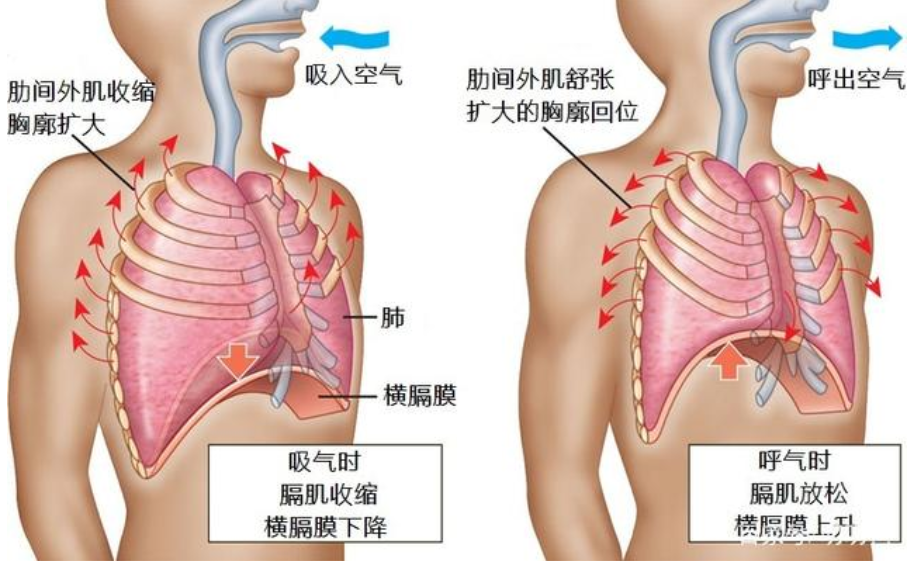 &#20048;&#40060;&#32593;&#39029;&#29256;&#45;&#20048;&#40060;&#40;&#20013;&#22269;&#41;&#23448;&#26041;